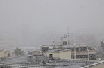 The Hidden Dangers of Snow on Your Roof: Why Timely Snow Removal is Essential